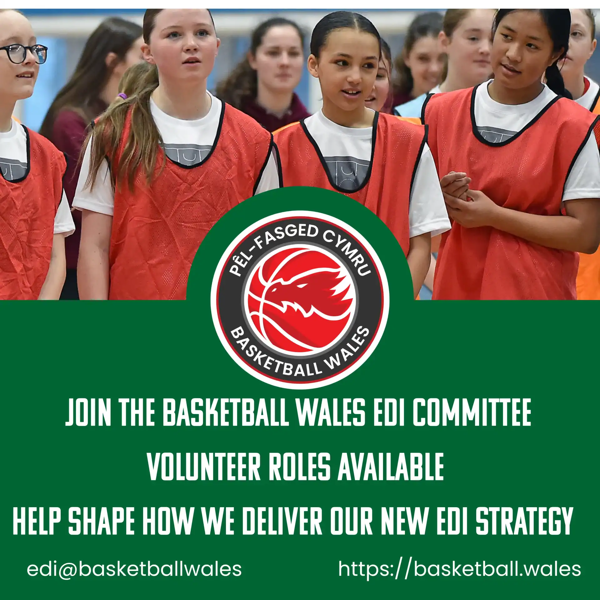 Join the Basketball Wales EDI Committee
