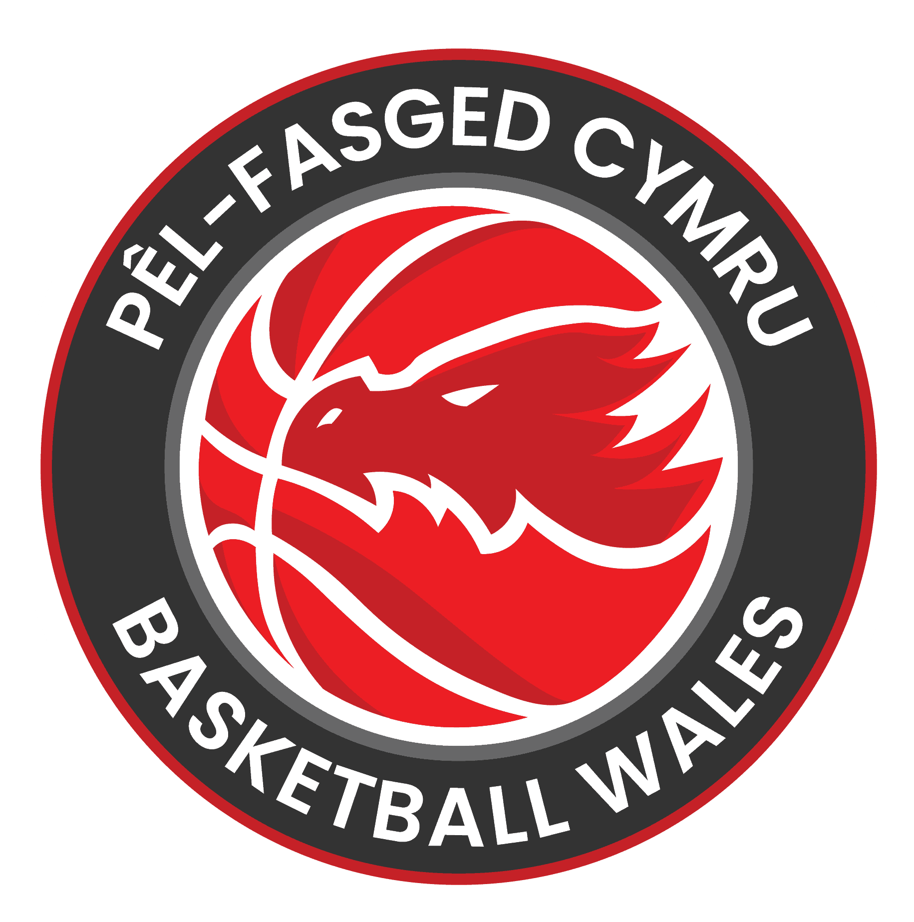 Basketball Wales announces Board appointment and Elected Director shortlist