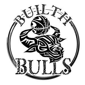 Builth Bulls