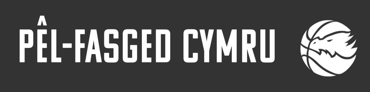 Email welsh new logo